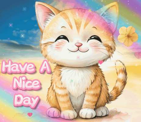 Cat With Have a Nice Day