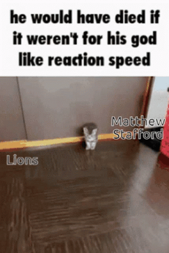 Cat With He Would Have Died If It Werent For His God Like Reaction Speed