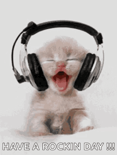 Cat With Headphone Hoping Wonderful Day GIF