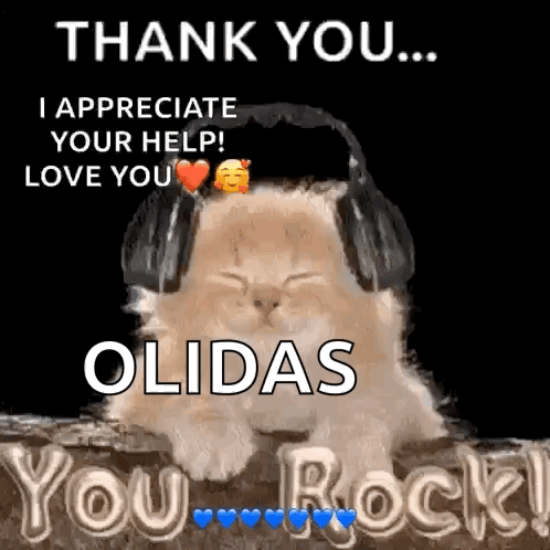 Cat With Headphones Says Thank You I Appreciate Your Help Love You