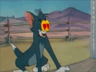 Cat With Heart Eyes GIF