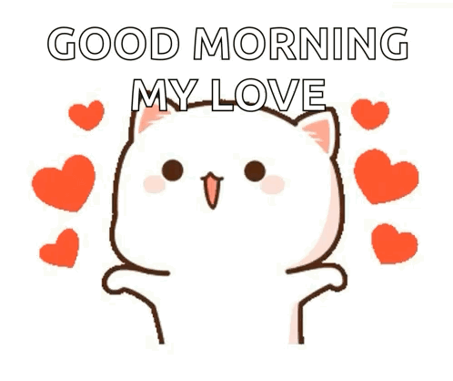 Cat With Hearts Good Morning My Love