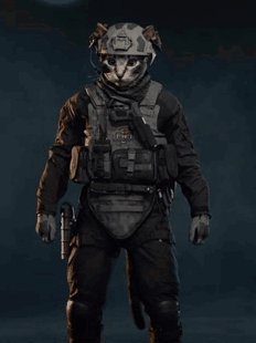 Cat With Helmet Holding Gun