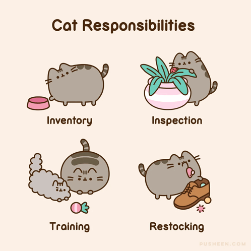 Cat With Inventory Inspection Training and Restocking