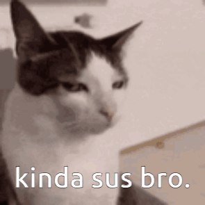 Cat With Kinda Sus Bro Text GIF