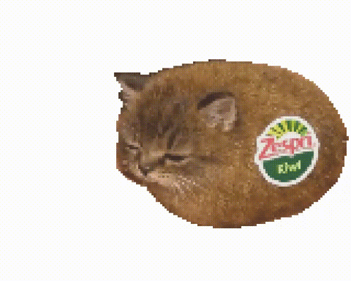 Cat With Kiwi Sticker On Face GIF