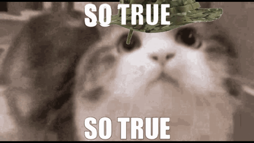 Cat with Leaf on Head Saying So True