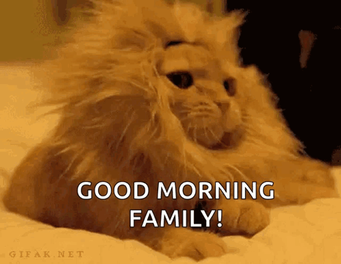 Cat with Lion Mane Saying Good Morning