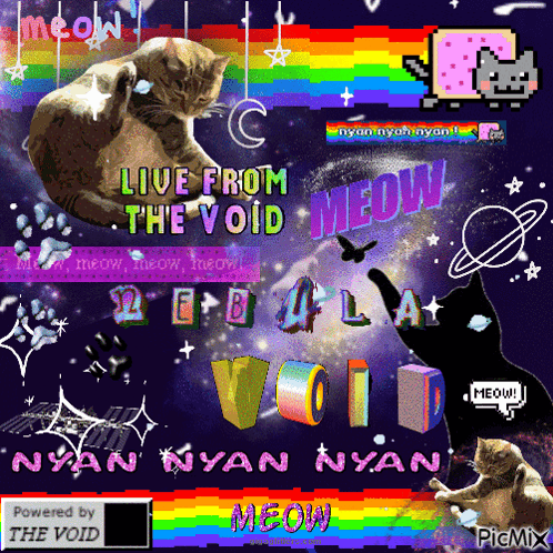 Cat With Live From The Void Text