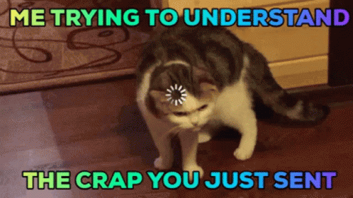 Cat With Loading Bar Saying Me Trying to Understand the Crap You Just Sent