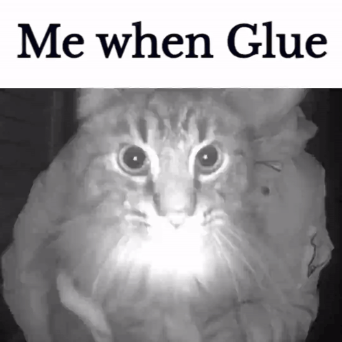 Cat With Me When Glue GIF