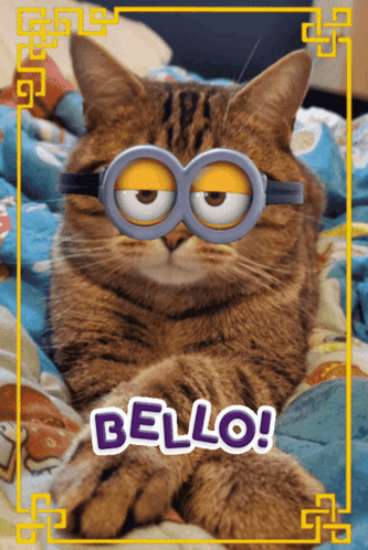 Cat With Minions Goggles Saying Bello