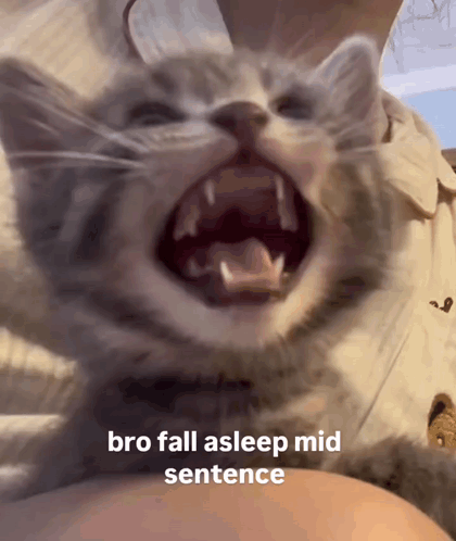 Cat With Mouth Open And Fall Asleep Mid Sentence GIF
