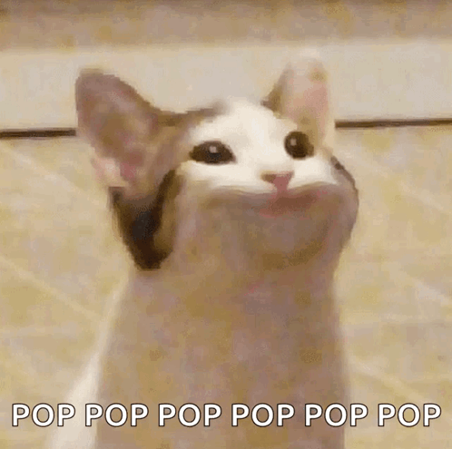 Cat With Mouth Open and Pop Pop Pop Pop Pop Pop