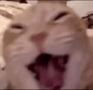 Cat with Mouth Open and Tongue Out