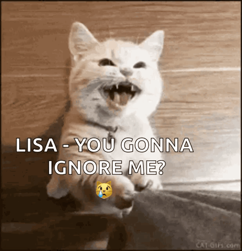 Cat With Mouth Open Saying Lisa You Gonna Ignore Me