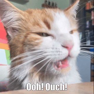 Cat With Ooh Ouch Words