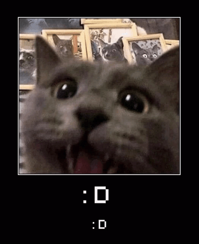 Cat With Open Mouth Among Cat Pictures GIF
