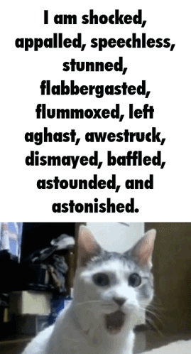 Cat With Open Mouth GIF