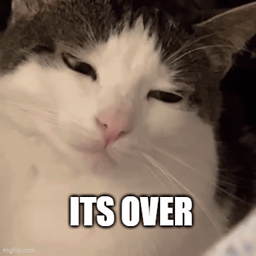Cat With Overwritten Text GIF