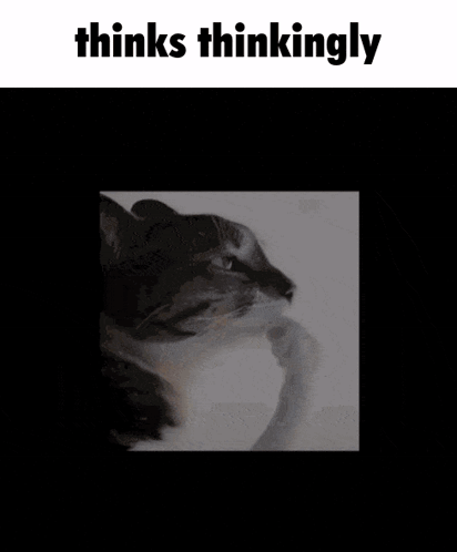 Cat With Paw on Chin Thinks Thinkingly