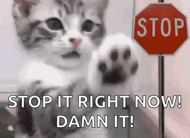 Cat With Paw Up at Stop Sign