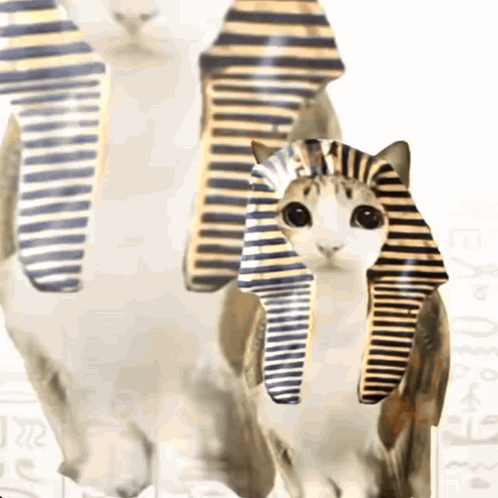 Cat with Pharaoh Hat Next to Two Cats