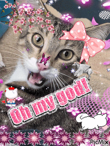 Cat with Pink Bow Saying Oh My Gosh