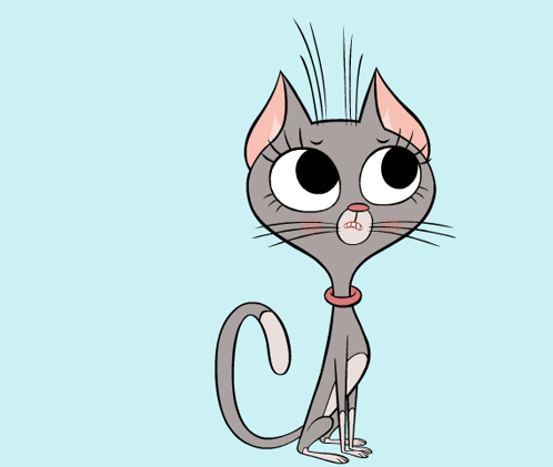 Cat With Pink Collar