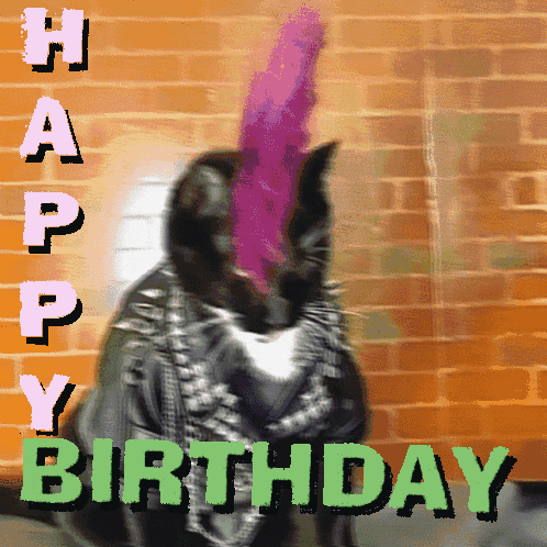 Cat with Pink Mohawk Happy Birthday Card