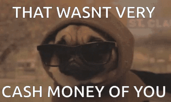 Cat With Pink Towel On Head GIF