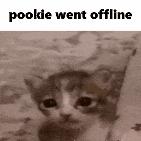 Cat With Pookie Went Offline