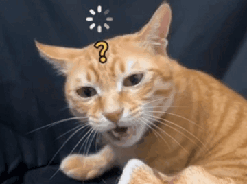 Cat with Question Mark