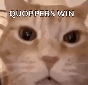 Cat with Quoppers Win Text