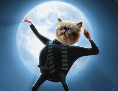 Cat With Scarf Standing Before Moon GIF