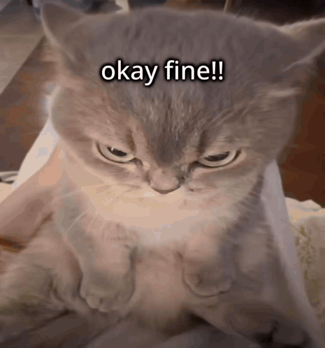 Cat With Serious Look Saying Okay Fine