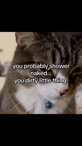 Cat With Shower Naked Caption