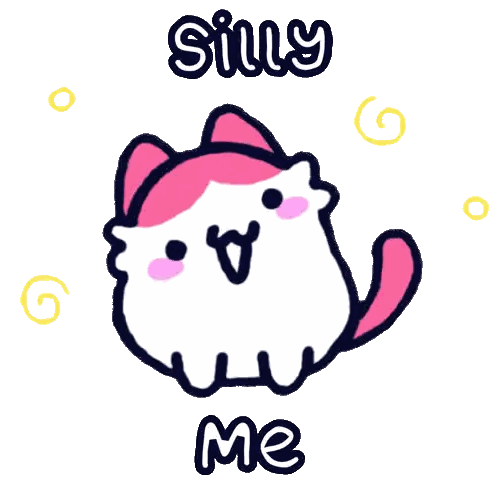 Cat with Silly Me