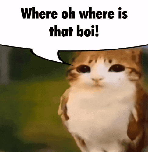 Cat with Speech Bubble Where Oh Where Is That Boi