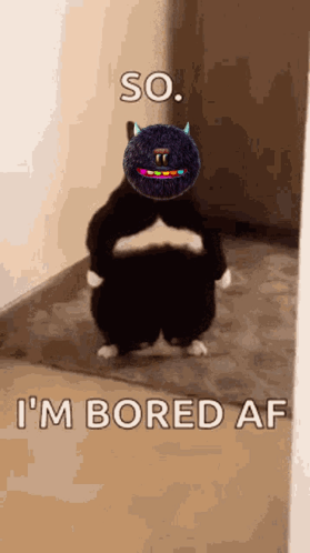Cat With Stuffed Animal On Head Saying So I'm Bored Af GIF