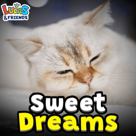 Cat With Sweet Dreams GIF