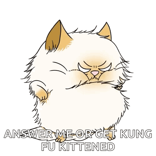 Cat With Text Answer Me Or Get Kung Fu Kittened GIF