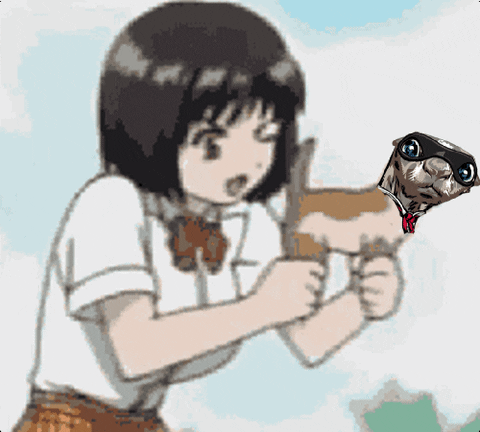 Cat With The Girl Gun GIF