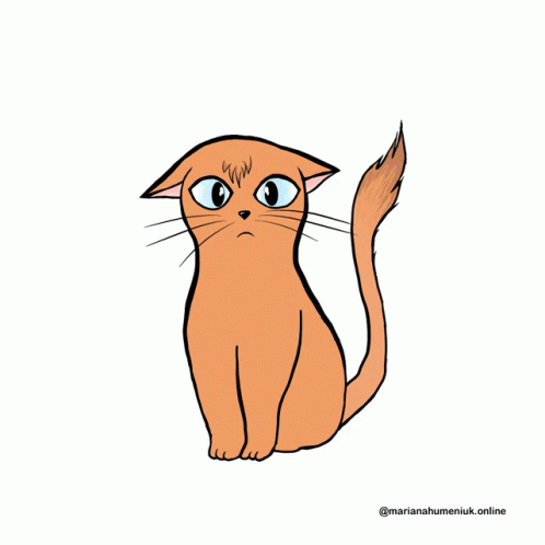 Cat With Three Red Question Marks