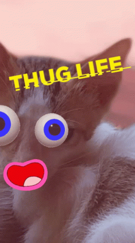 Cat With Thug Life Emojis GIF
