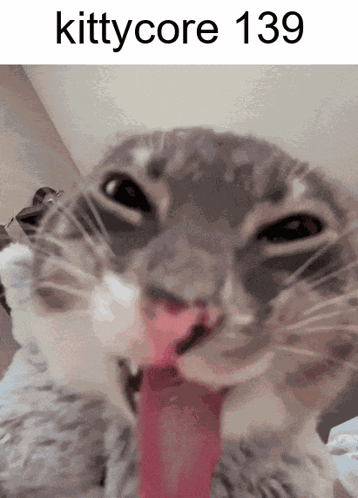 Cat with Tongue Out and Kittycore 139
