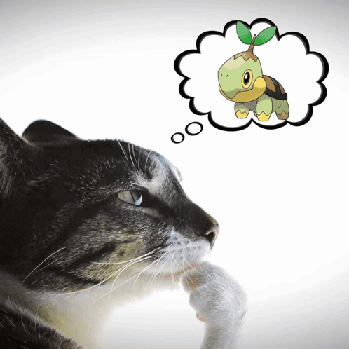Cat With Turtle Thought Bubble