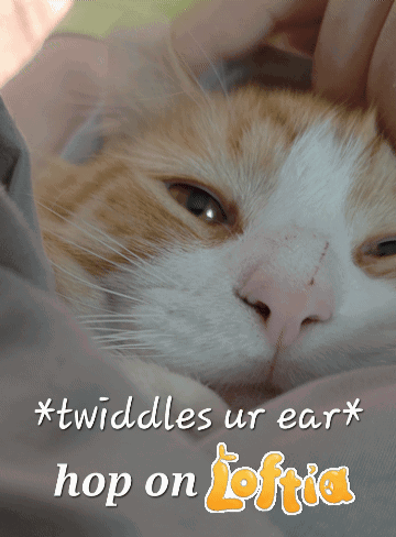 Cat With * Twiddles Ur Ear * Hop On Loftia GIF