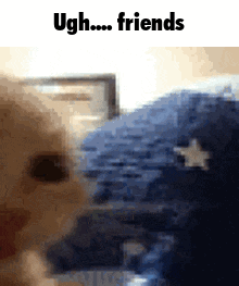 Cat with Ugh Friends Text