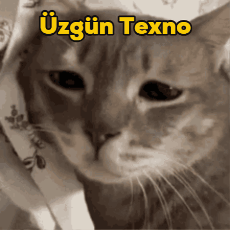 Cat with Uzgun Texno Text